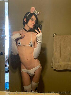 femboycherryblossom photo 439