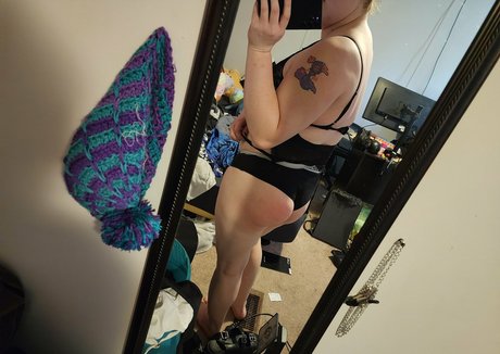 Fennelsapphia photo 15