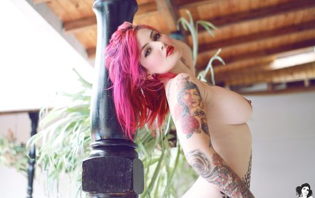 Fermercury photo 26