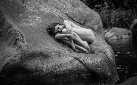 Fine Wolfanguar photo 29