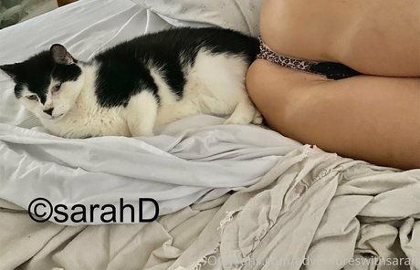 Fitblondenextdoor photo 65