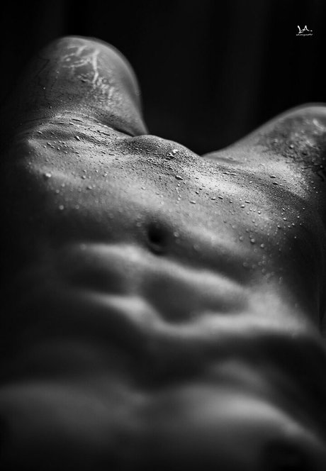 Fitforfunalessia photo 36
