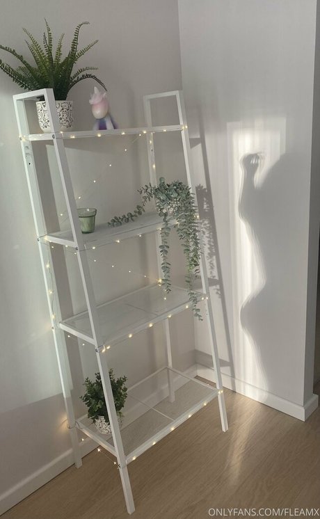 Fleamx photo 173