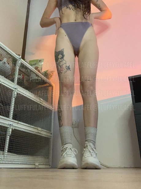 Fluffyfulafel photo 45