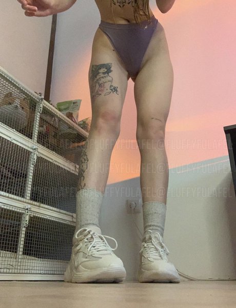 Fluffyfulafel photo 107