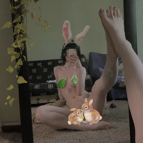 Fluffyfulafel photo 115