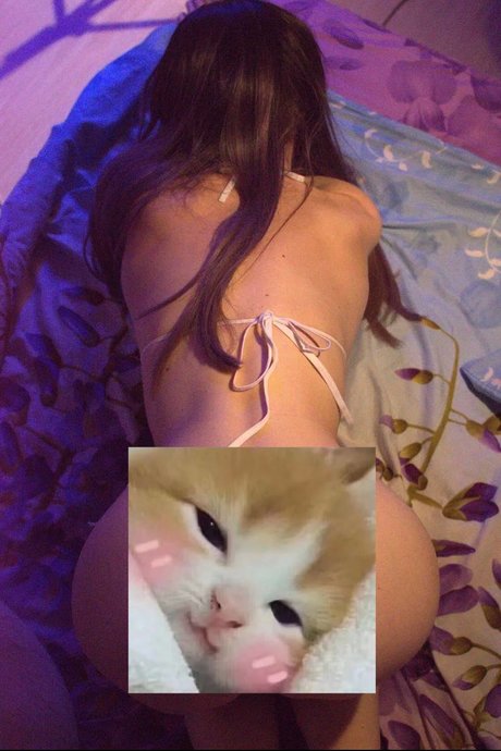 Fluffyfulafel photo 123