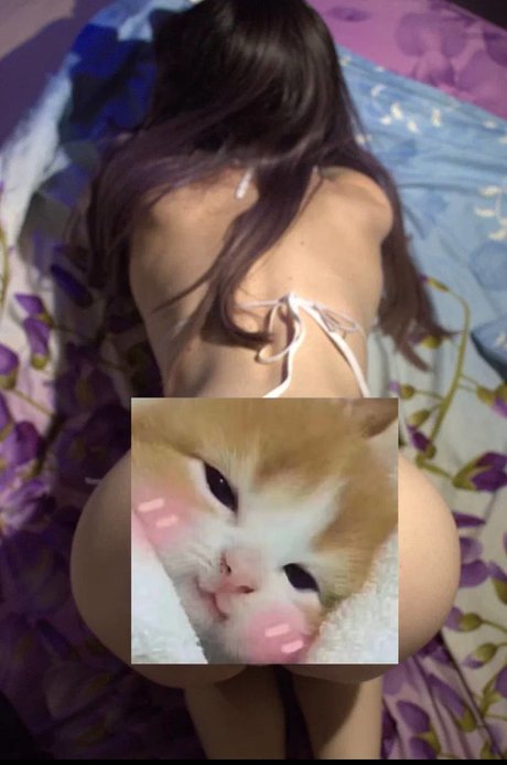 Fluffyfulafel photo 124