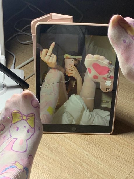 Fluffyfulafel photo 186