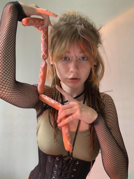 Fluffyfulafel photo 377