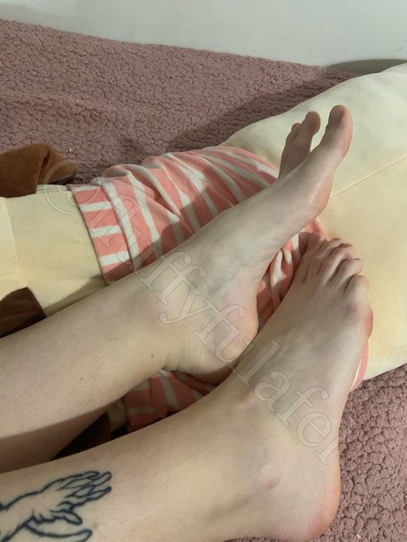 Fluffyfulafel photo 470