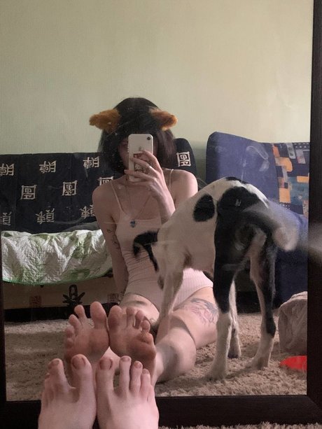 Fluffyfulafel photo 475