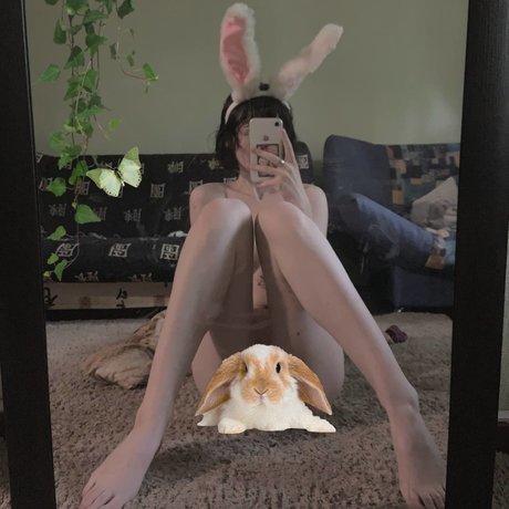 Fluffyfulafel photo 503