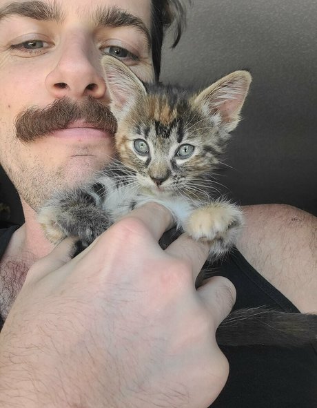 Fosterkittendad photo 4