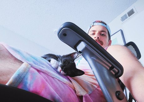 Fosterkittendad photo 55