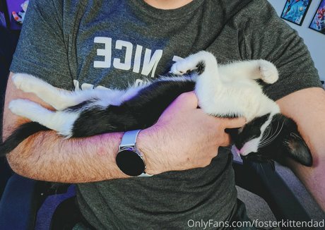 Fosterkittendad photo 84