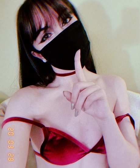 Foxxit photo 6