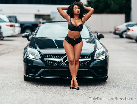 Freechantel photo 1
