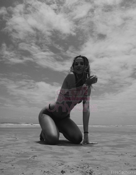 Freesachorra photo 10