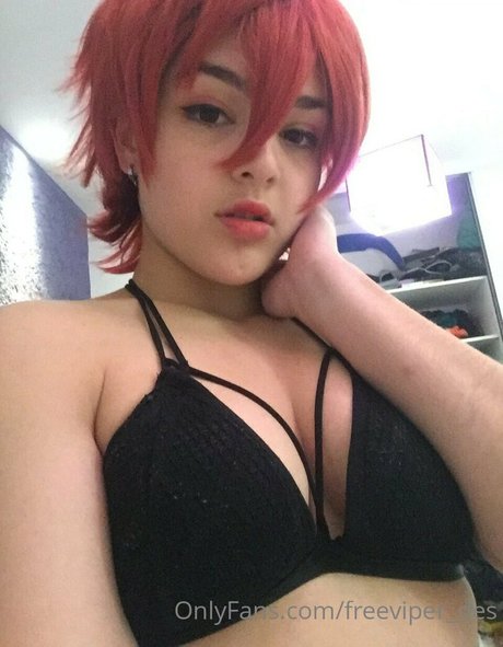 Freeviper_des photo 9