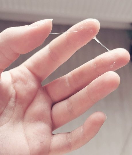 Freewafflehoe photo 1