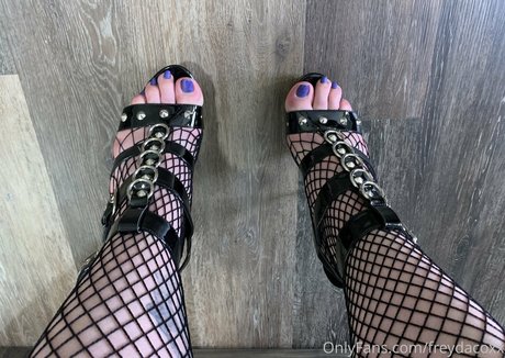 Freydacoxx photo 19