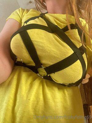 friskyfeline69 photo 29