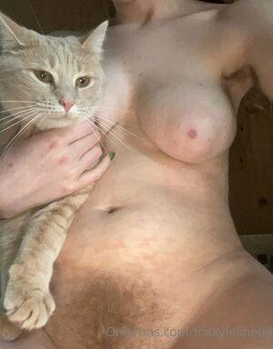 friskyfeline69 photo 37
