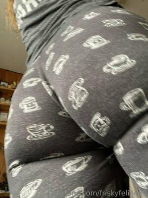 friskyfeline69 photo 326