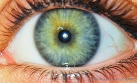 Ganjagirl907 photo 96