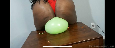 Gassycocoa photo 42