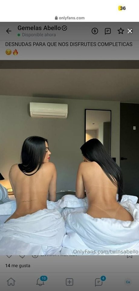 Gemeas Abello photo 5