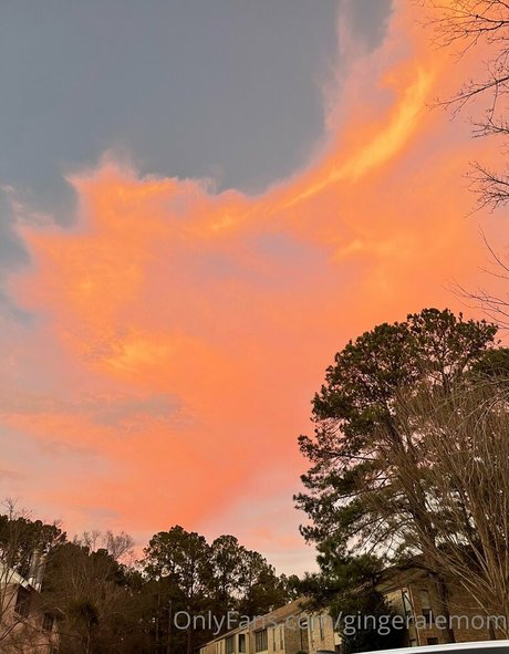 Gingeralemom photo 3