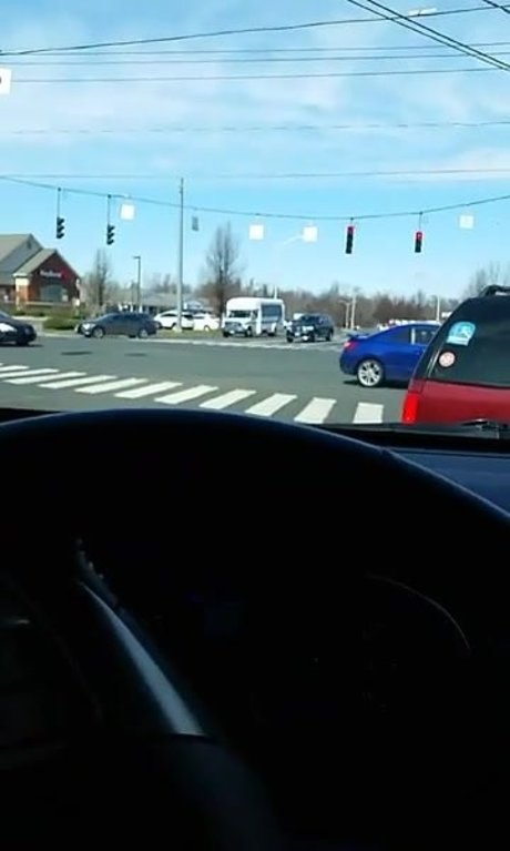 Gingerbanks1 photo 19