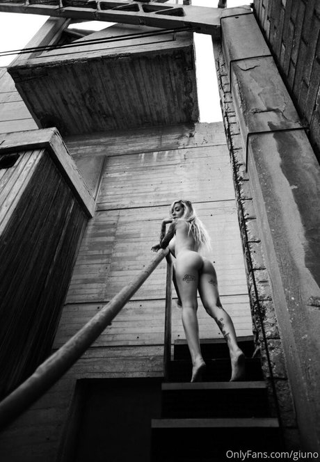 Giuno photo 40