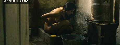 Golshifteh Farahani photo 9