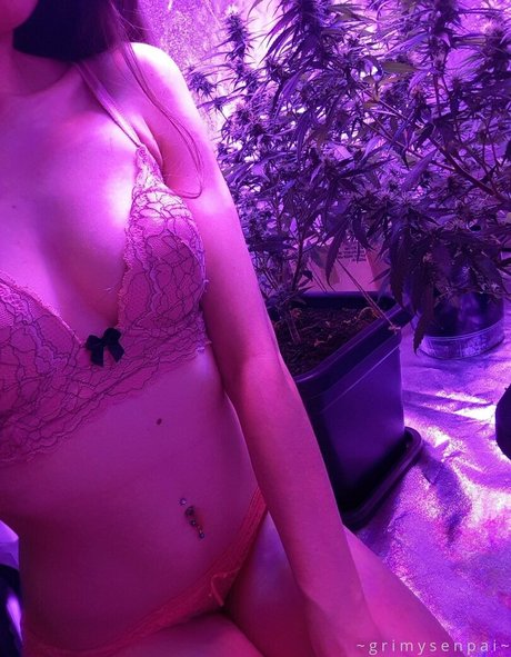 Grimybby photo 67