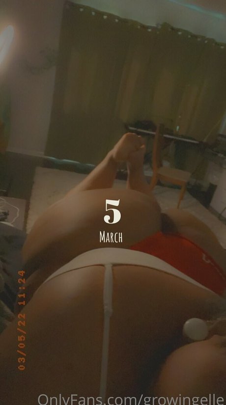 Growingellex photo 210