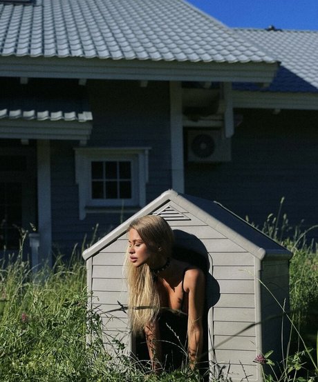 Gubernatar photo 44