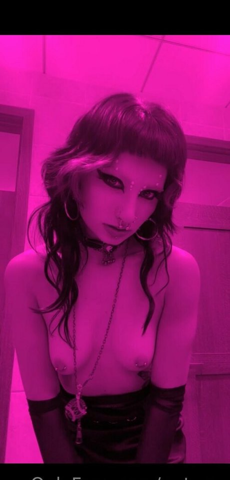 Gutwax photo 3