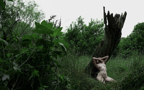 Gwenhoney photo 234