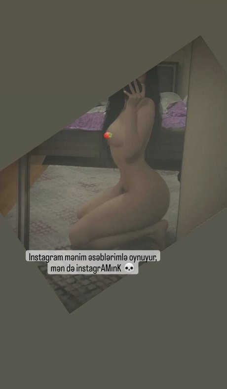 GymFoxFi photo 47