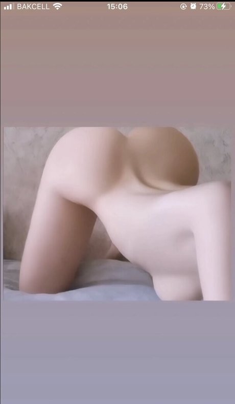 GymFoxFi photo 65