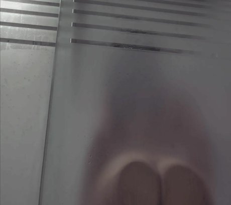 GymFoxFi photo 80