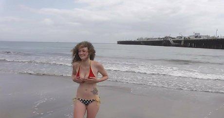 Gypsyleia photo 3