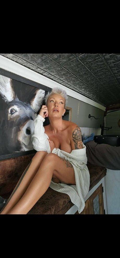 Gypsyundersupervised1 photo 8