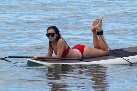 Hailee Steinfeld photo 245