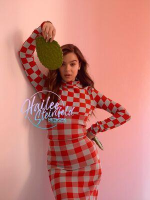 Hailee Steinfeld photo 345