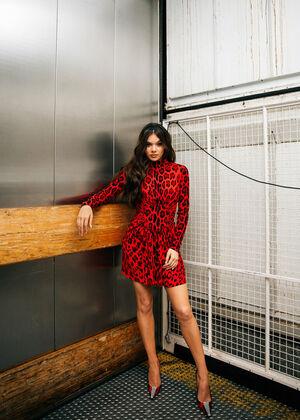 Hailee Steinfeld photo 710