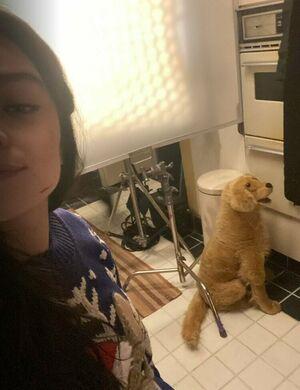 Hailee Steinfeld photo 1503